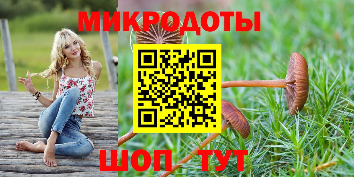 Галлюциногенные грибы MAGIC MUSHROOMS Зима